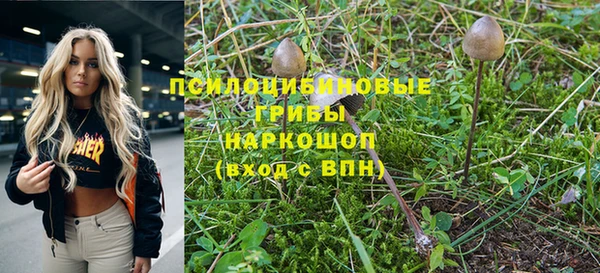 герыч Алексин