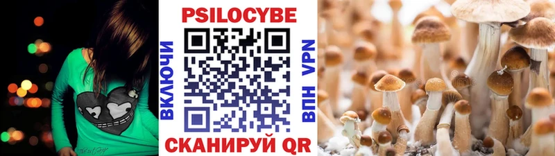 Псилоцибиновые грибы Psilocybe  где найти наркотики  Киреевск 