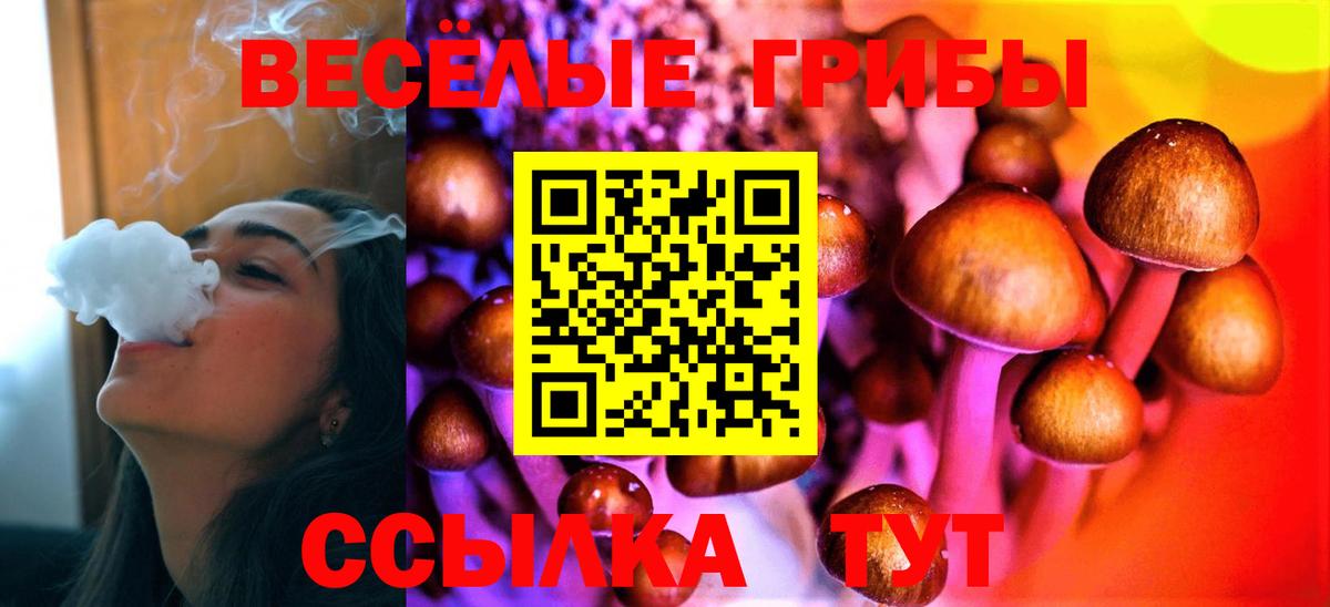 как найти   Галлюциногенные грибы GOLDEN TEACHER  Псилоцибиновые грибы Magic Shrooms  Вход с VPN  Киреевск 